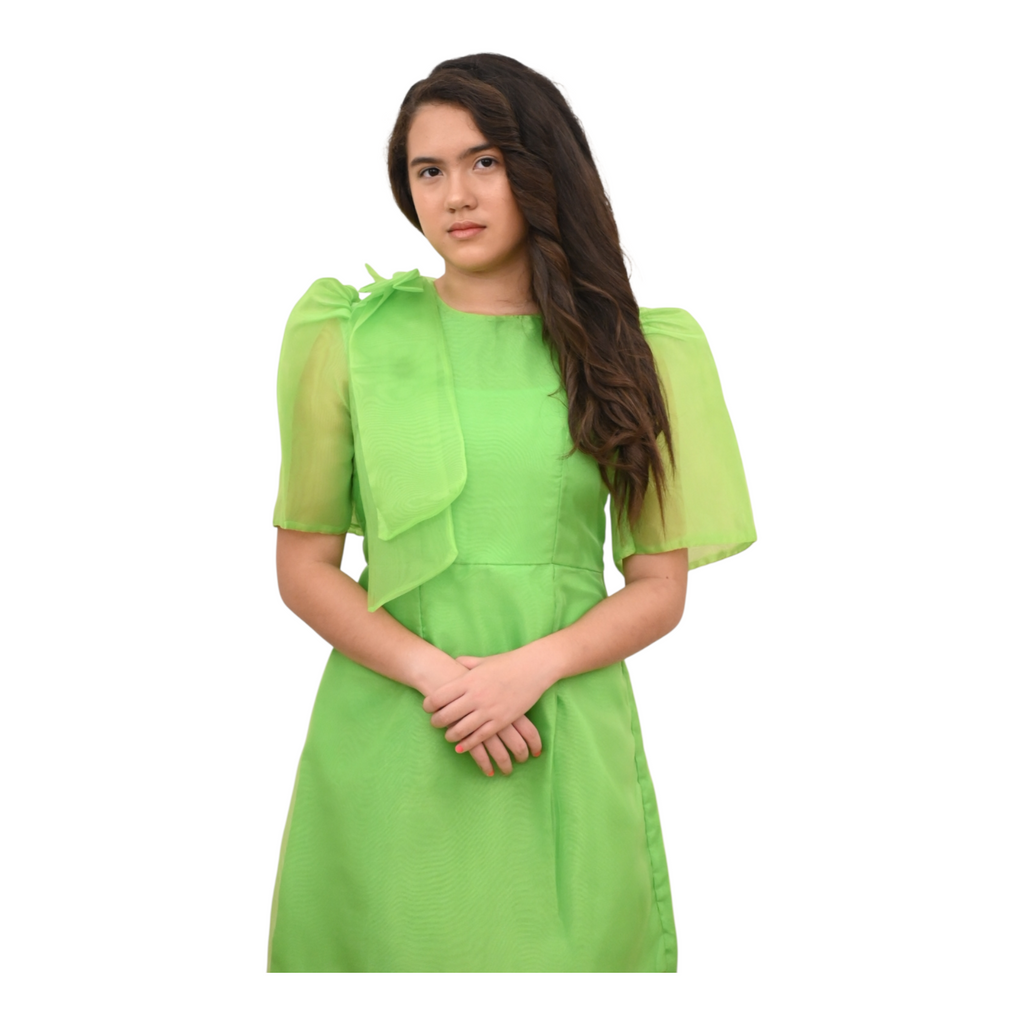 Siena Filipiniana Dress