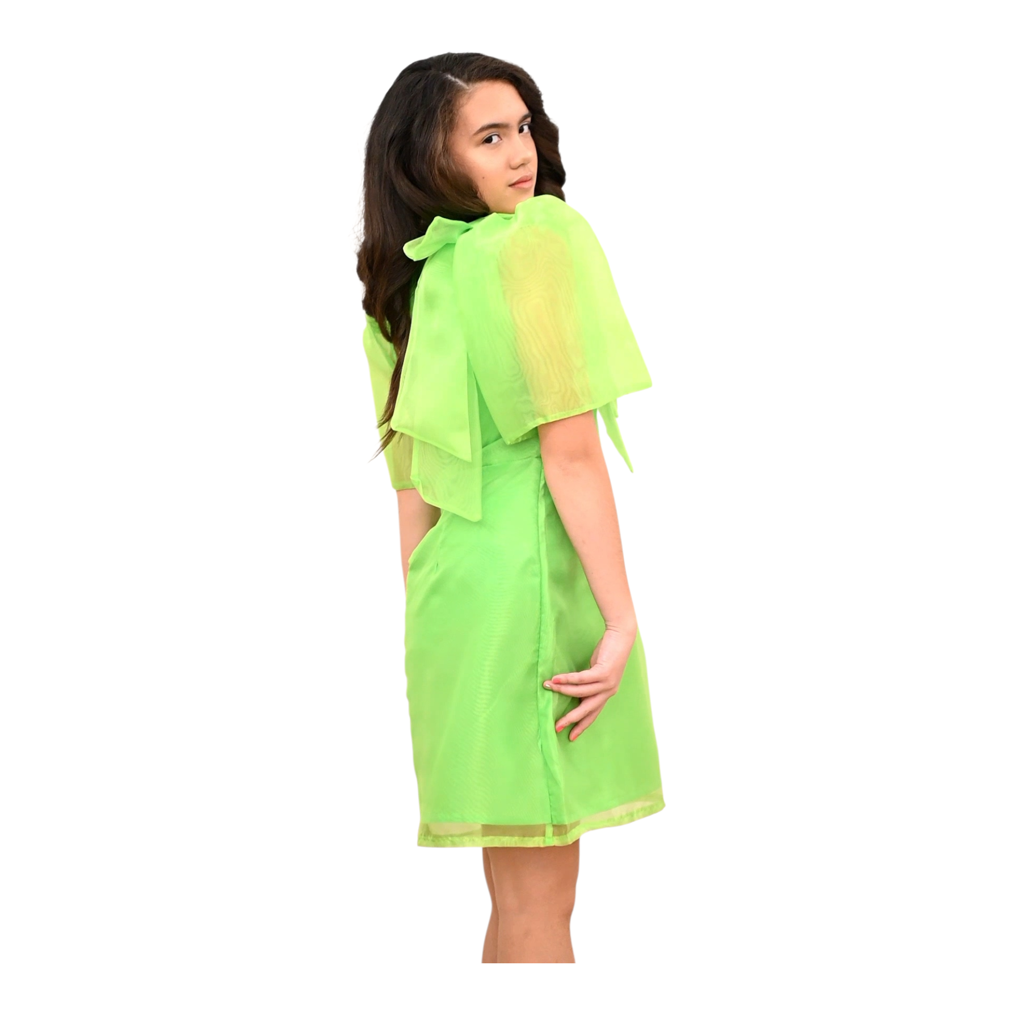 Siena Filipiniana Dress